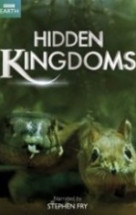 Gizli Krallık – Hidden Kingdom 2014 Türkçe Dublaj izle