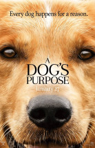 A Dog's Purpose izle (2017) Türkçe Altyazılı