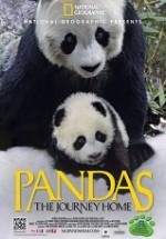 Pandas The Journey Home 2014 Türkçe Altyazılı izle